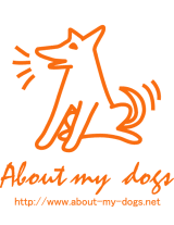 about my dogs