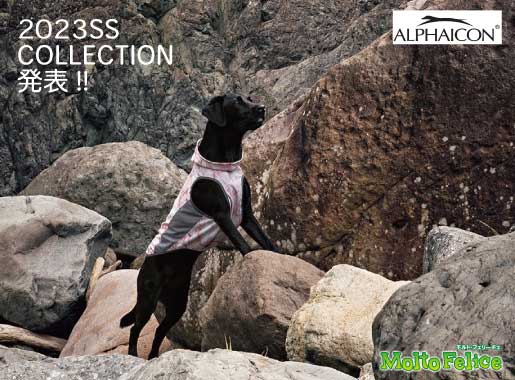 ALPHAICON2023SScollection