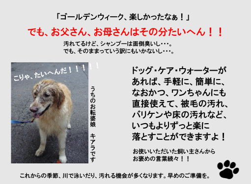 ドッグ・ケア・ウォーターのすすめ
