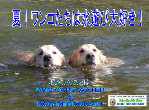 夏!