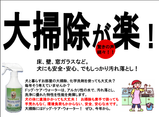 大そうじ