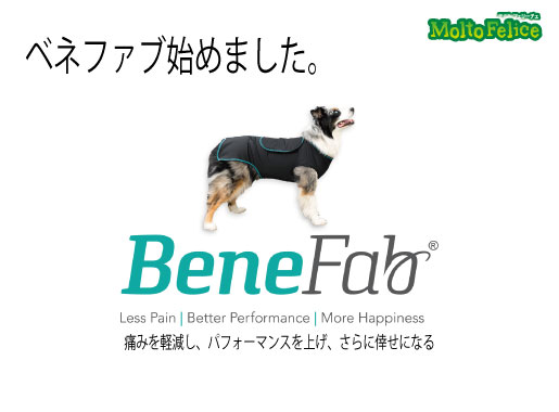 BeneFab